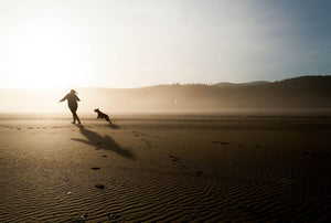 Recognizing Hip Dysplasia in Dogs & How CBD Can Help