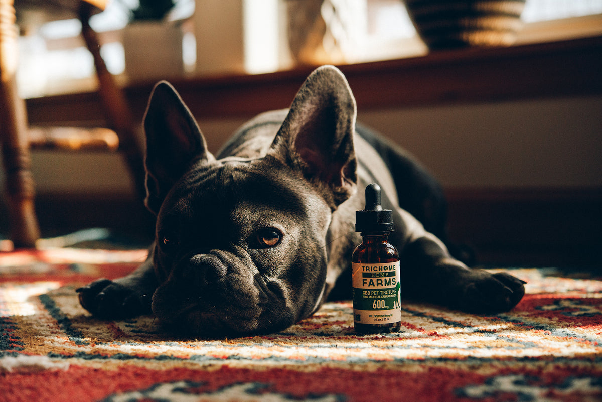 Pet Tinctures