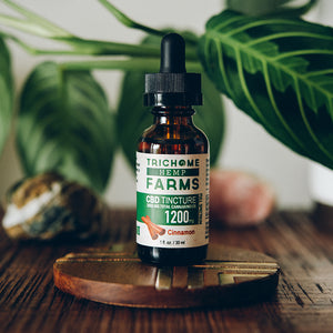 1200mg Cinnamon CBD Tincture