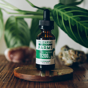 1200mg CBD Pet Tincture