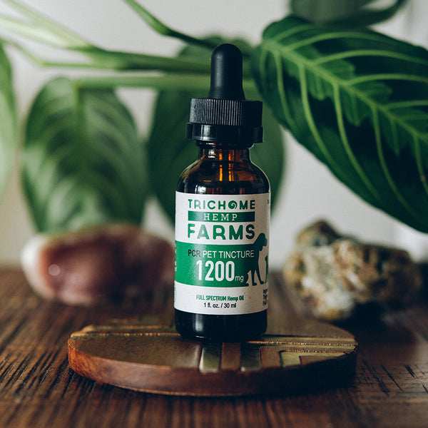 1200mg CBD Pet Tincture